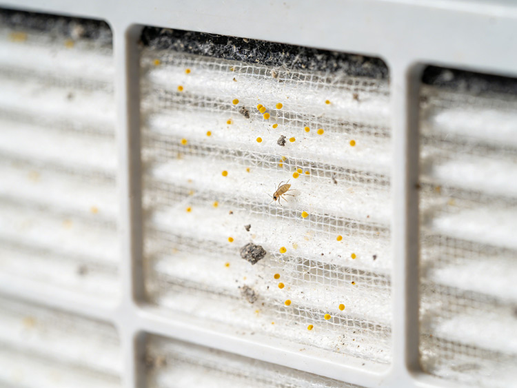 成都五恒系统-H13 级 HEPA 滤网的微距特写